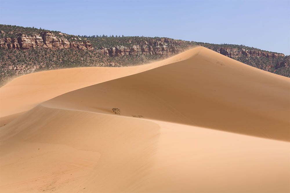 Pink Dunes State Park Utah Pink Dunes State Park Utah